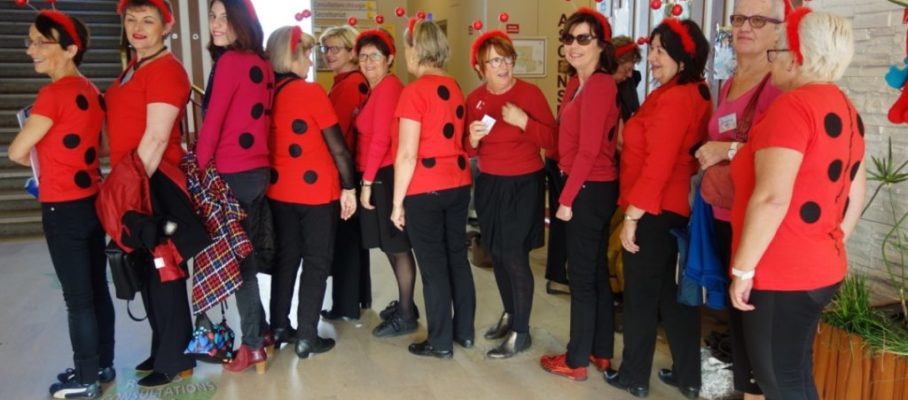 coccinelles 23112017